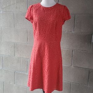 LOFT Lace Dress